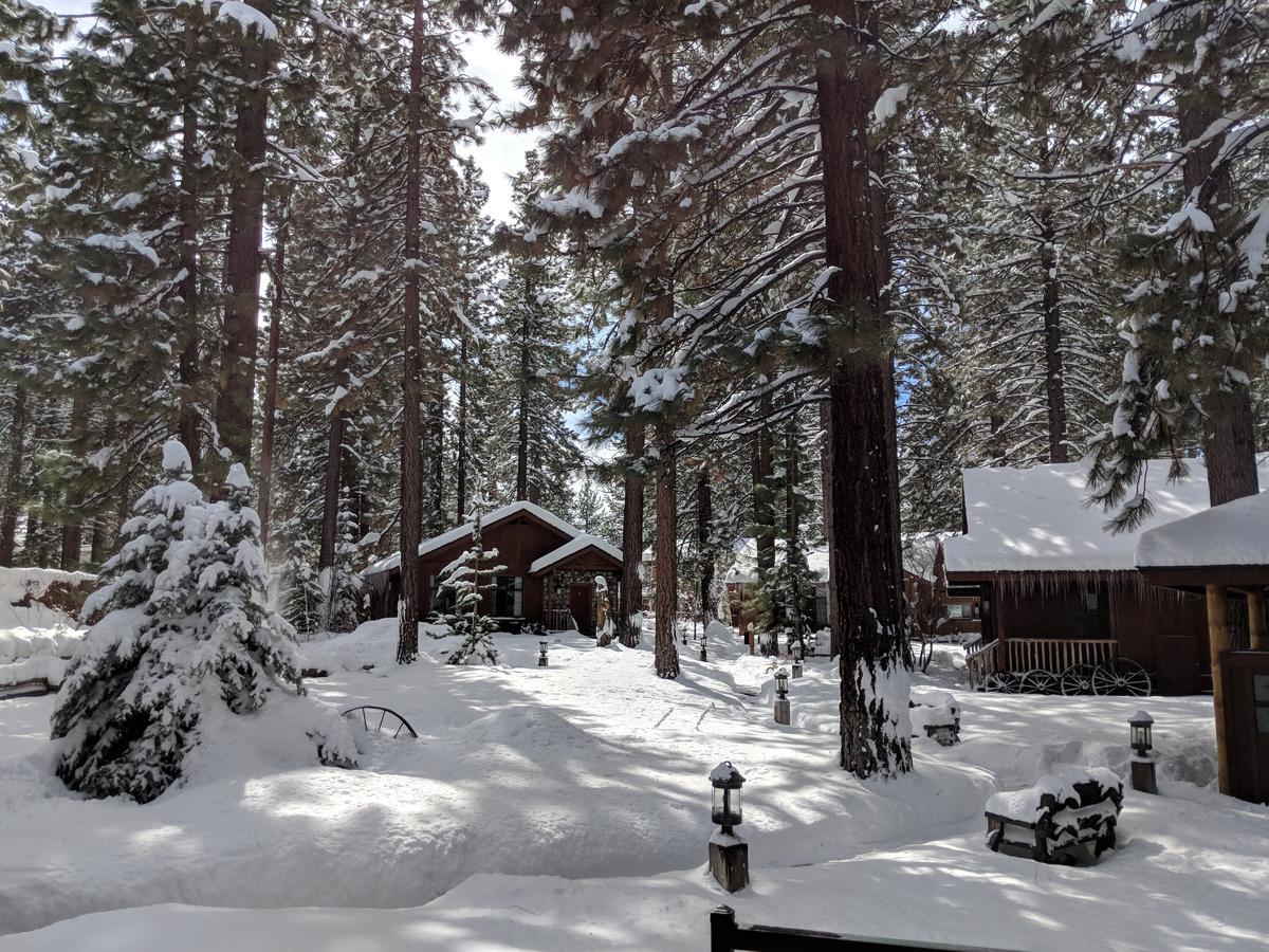 Black Bear Lodge South Lake Tahoe Exterior photo